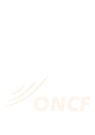 Rapport de stage_oncf | PDF