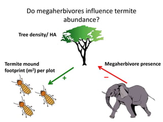 ESA 2014 A massive and a tiny herbivore species drive patterns of plant community structure and landscape heterogeneity