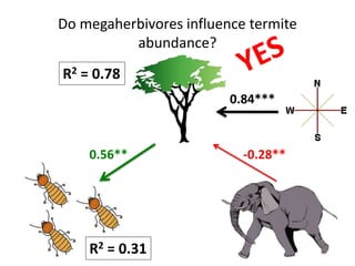 ESA 2014 A massive and a tiny herbivore species drive patterns of plant community structure and landscape heterogeneity