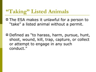 “ Taking” Listed Animals The ESA makes it unlawful for a person to “take” a listed animal without a permit. Defined as “to harass, harm, pursue, hunt, shoot, wound, kill, trap, capture, or collect or attempt to engage in any such conduct.” 