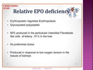 29 April 2017 12Nabieh Alhilali
 