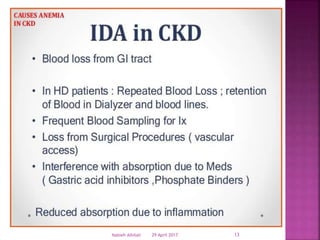 29 April 2017 13Nabieh Alhilali
 