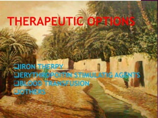 29 April 2017Nabieh Alhilali 23
THERAPEUTIC OPTIONS
IRON THERPY
ERYTHROPOITIN STIMULATIG AGENTS
BLOOD TRANSFUSION
OTHERS
 