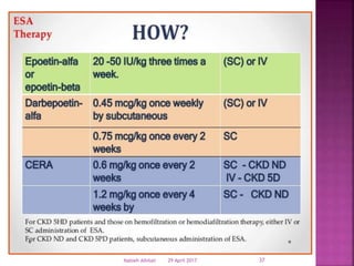 29 April 2017 37Nabieh Alhilali
 