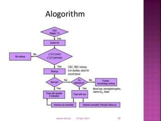 29 April 2017 50Nabieh Alhilali
 