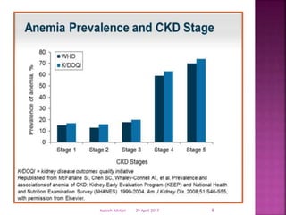 29 April 2017 8Nabieh Alhilali
 