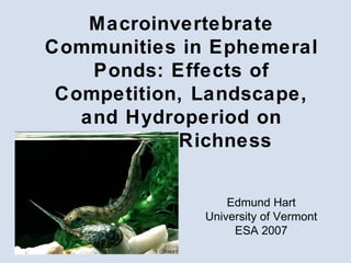 Macroinvertebrate Communities in Ephemeral Ponds: Effects of Competition, Landscape, and Hydroperiod on Species Richness Edmund Hart University of Vermont ESA 2007 