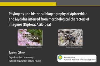 1



Phylogeny and historical biogeography of Apioceridae
and Mydidae inferred from morphological characters of
imagines (Diptera: Asiloidea)



                  Apioceridae: Apiocera sp. © J. Hort         Mydidae: Miltinus minutus © J. Hort



Torsten Dikow
Department of Entomology                                    Smithsonian
                                                            National Museum of Natural History
National Museum of Natural History
 