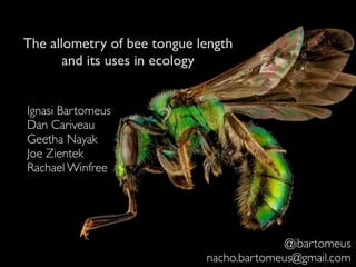 The allometry of bee tongue length
and its uses in ecology
Ignasi Bartomeus
Dan Cariveau
Geetha Nayak
Joe Zientek
Rachael Winfree
@ibartomeus
nacho.bartomeus@gmail.com
 
