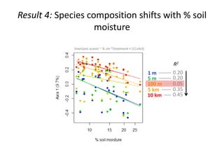 100 m
Result 4: Species composition shifts with % soil
moisture
0.45
0.35
0.05
0.20
0.20
R2
1 m
5 m
10 km
lmer(axis scores ~ % sm *treatment + (1|site))
5 km
 