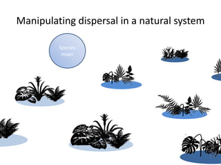 Manipulating dispersal in a natural system
Species
mixer
 