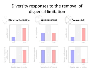 ? ?
? ?
Diversity responses to the removal of
dispersal limitation
Species sorting
Localdiversity
small large
Localdiversity
small large
Spatial scale of mixing
Species-environment
relationships
small large
Spatial scale of mixing
Species-environment
relationships
small large
Source-sink
?
?
Dispersal limitation
Localdiversity
small large
Spatial scale of mixing
Species-environment
relationships
small large
 