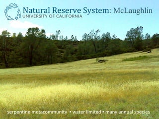 : McLaughlin
serpentine metacommunity ▪ water limited ▪ many annual species
 