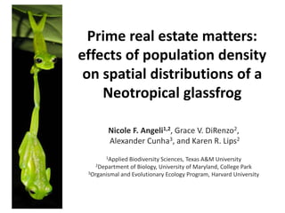 Prime real estate matters:
effects of population density
on spatial distributions of a
Neotropical glassfrog
Nicole F. Angeli1,2, Grace V. DiRenzo2,
Alexander Cunha3, and Karen R. Lips2
1Applied Biodiversity Sciences, Texas A&M University
2Department of Biology, University of Maryland, College Park
3Organismal and Evolutionary Ecology Program, Harvard University
 