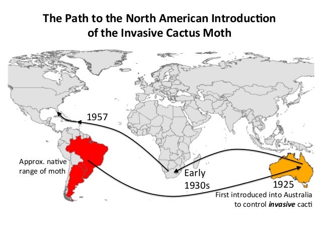 Predicting The Distribution Of The Invasive Cactus Moth Cactoblastis