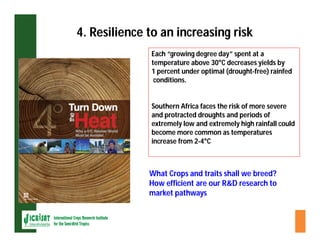 ESA crop improvement :  legumes