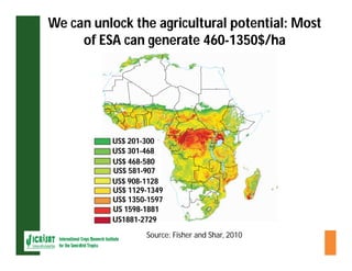 ESA crop improvement :  legumes