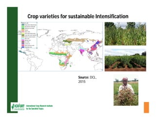 ESA crop improvement :  legumes