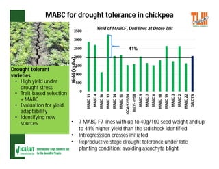 ESA crop improvement :  legumes