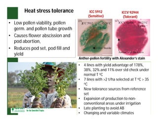 ESA crop improvement :  legumes