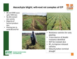 ESA crop improvement :  legumes