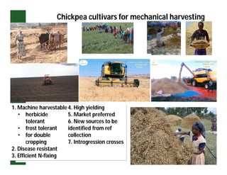 ESA crop improvement :  legumes