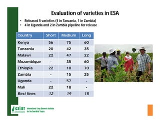 ESA crop improvement :  legumes