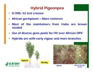 ESA crop improvement :  legumes