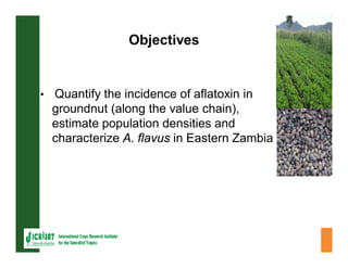 ESA crop improvement :  legumes