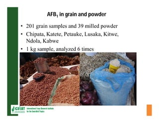 ESA crop improvement :  legumes