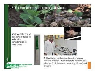 ESA crop improvement :  legumes