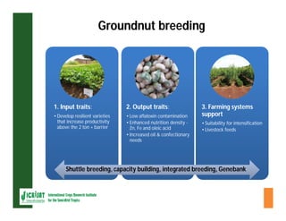 ESA crop improvement :  legumes