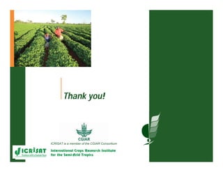 ESA crop improvement :  legumes