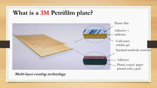 Plastic film
Adhesive +
indicator
Adhesive
Plastic coated paper
printed with a grid
What is a 3M Petrifilm plate?
Multi-layer coating technology
logy
Cold water
soluble gel
Standard methods nutrients
 