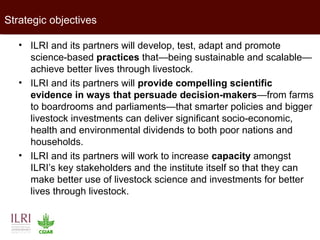 Lessons from facilitating dairy producers organizations development in East Africa