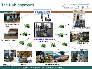 Lessons from facilitating dairy producers organizations development in East Africa