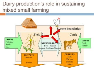 Competitiveness of smallholder dairy farmers in East Africa
