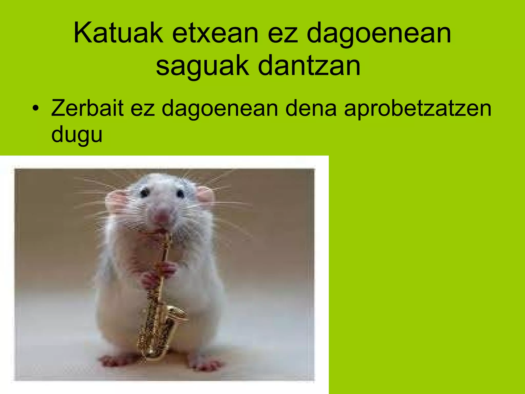 Katuak etxean ez dagoenean saguak dantzan  Zerbait ez dagoenean dena aprobetzatzen dugu 