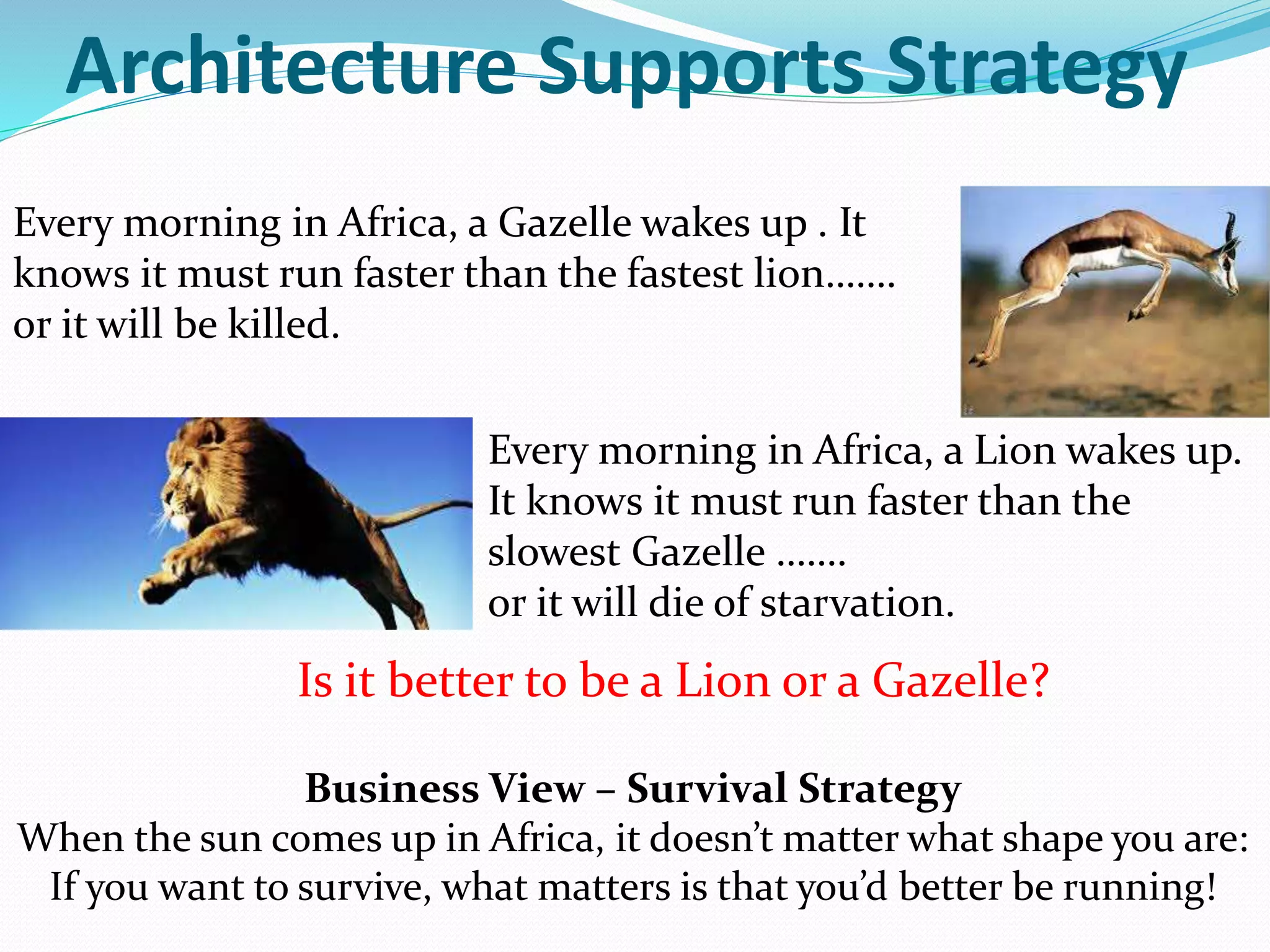 Architecture Supports Strategy
Every morning in Africa, a Gazelle wakes up . It
knows it must run faster than the fastest lion…….
or it will be killed.
Business View – Survival Strategy
When the sun comes up in Africa, it doesn’t matter what shape you are:
If you want to survive, what matters is that you’d better be running!
Every morning in Africa, a Lion wakes up.
It knows it must run faster than the
slowest Gazelle …….
or it will die of starvation.
Is it better to be a Lion or a Gazelle?
 