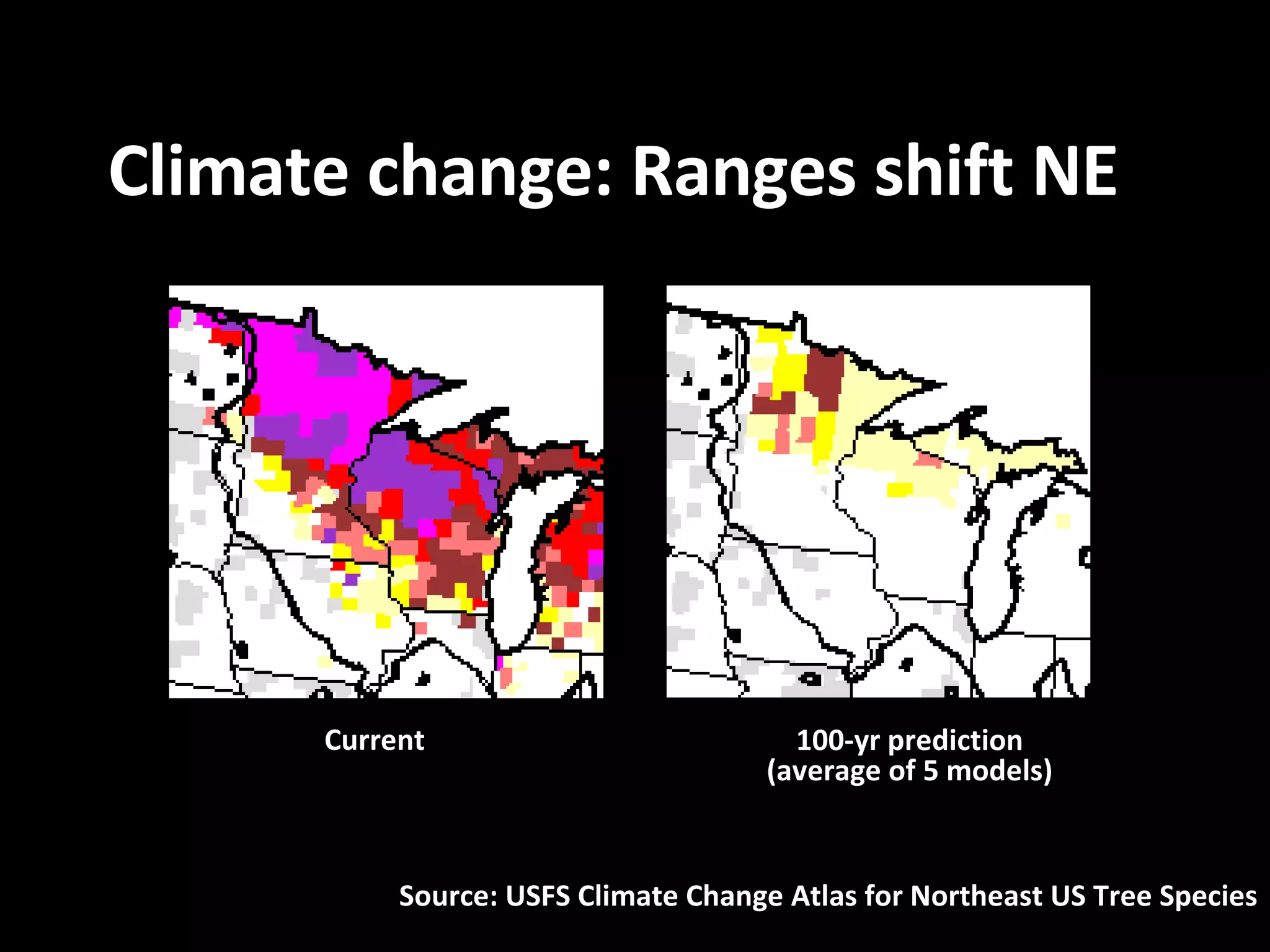 Climate change: Ranges shift NE Current 100-yr prediction (average of 5 models) Source: USFS Climate Change Atlas for Northeast US Tree Species