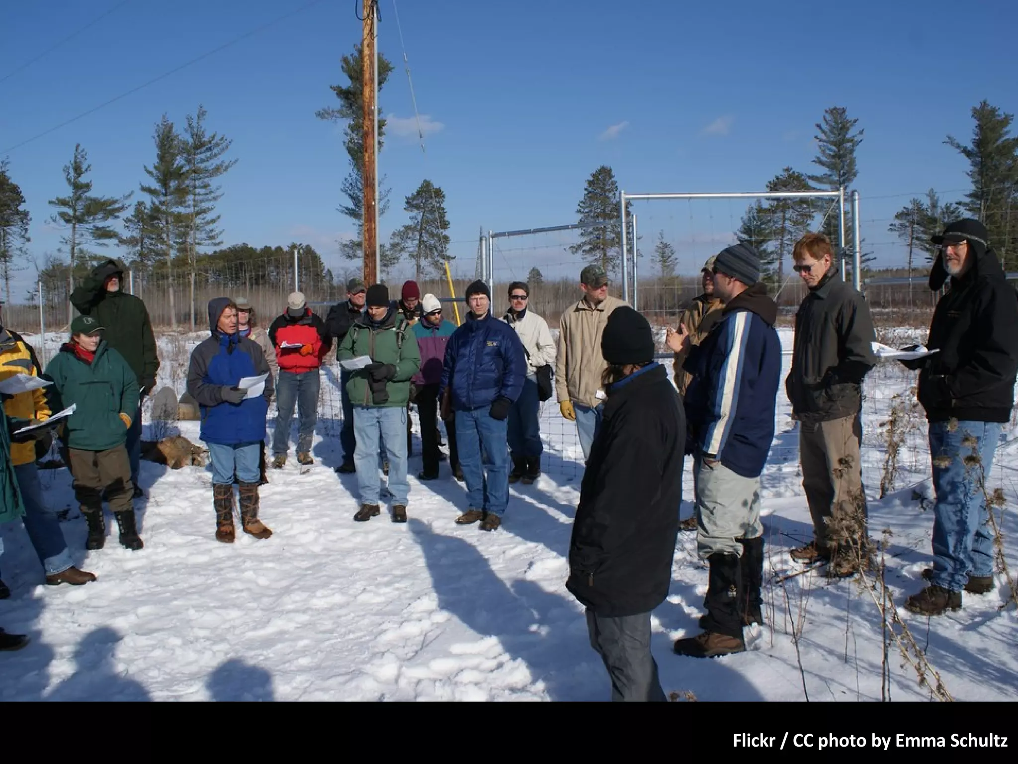 Flickr / CC photo by Emma Schultz