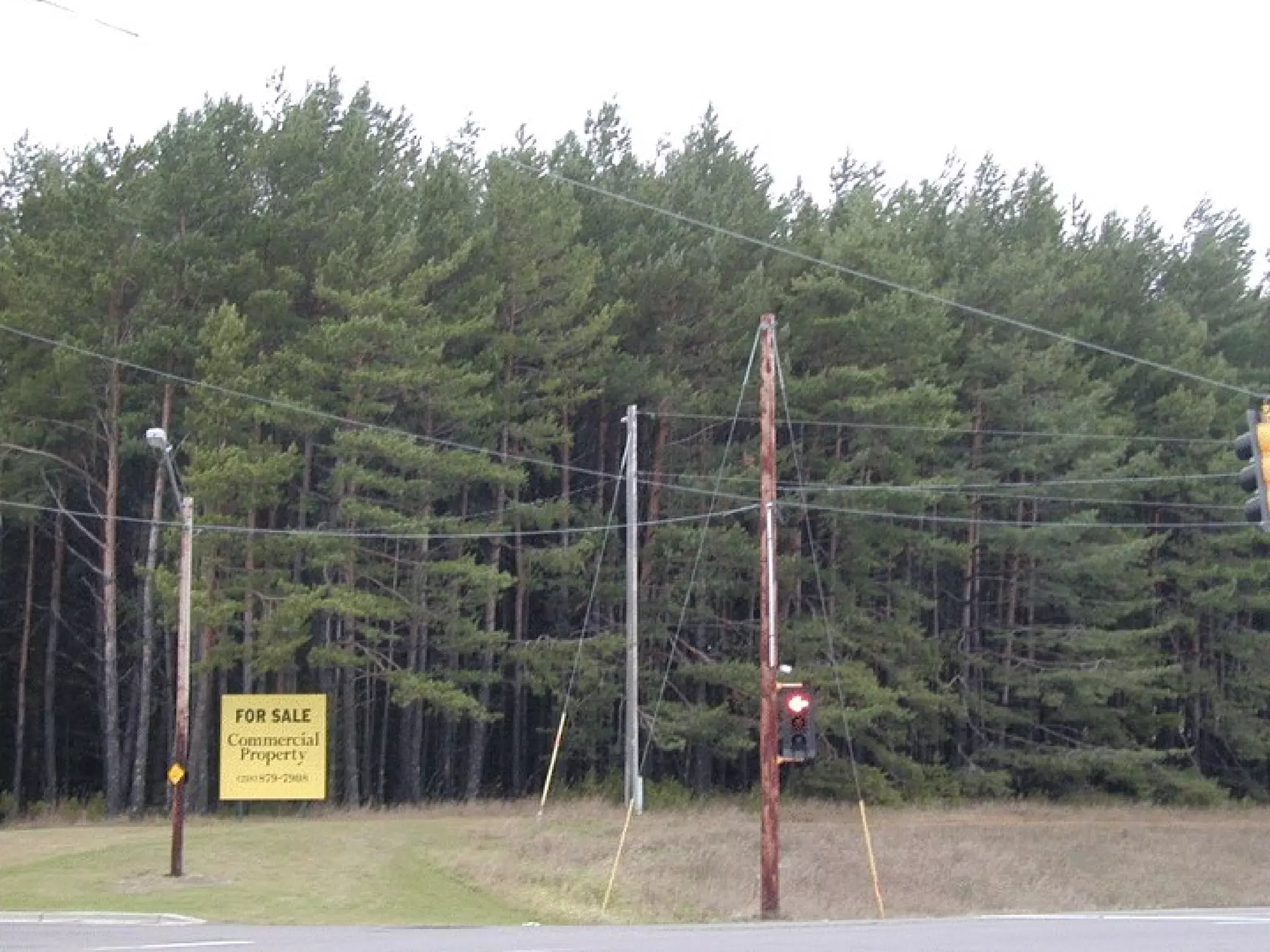 Land protection: Cloquet land conversion