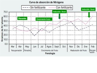 Inducción floral
                                Inducción floral


Floración   Crecimiento fruto
 
