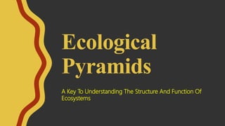 Ecological
Pyramids
A Key To Understanding The Structure And Function Of
Ecosystems
 