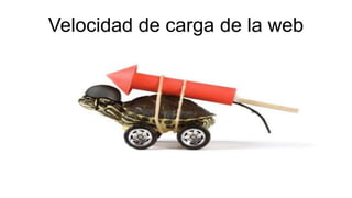 Velocidad de carga de la web
 
