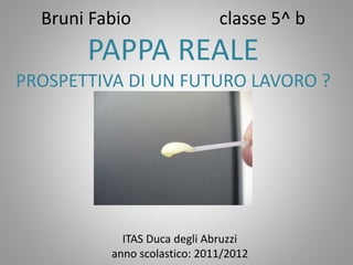 Bruni Fabio classe 5^ b
PAPPA REALE
PROSPETTIVA DI UN FUTURO LAVORO ?
ITAS Duca degli Abruzzi
anno scolastico: 2011/2012
 