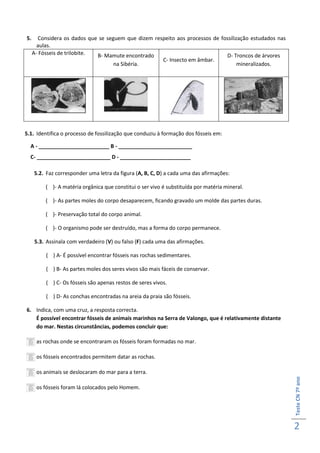 5.      Considera os dados que se seguem que dizem respeito aos processos de fossilização estudados nas
       aulas.
     A- Fósseis de trilobite. B- Mamute encontrado                              D- Troncos de árvores
                                                      C- Insecto em âmbar.
                                     na Sibéria.                                     mineralizados.




5.1. Identifica o processo de fossilização que conduziu à formação dos fósseis em:

  A - ________________________ B - _________________________
  C- _________________________ D - ________________________

     5.2. Faz corresponder uma letra da figura (A, B, C, D) a cada uma das afirmações:

          ( )- A matéria orgânica que constitui o ser vivo é substituída por matéria mineral.

          ( )- As partes moles do corpo desaparecem, ficando gravado um molde das partes duras.

          ( )- Preservação total do corpo animal.

          ( )- O organismo pode ser destruído, mas a forma do corpo permanece.

     5.3. Assinala com verdadeiro (V) ou falso (F) cada uma das afirmações.

          ( ) A- É possível encontrar fósseis nas rochas sedimentares.

          ( ) B- As partes moles dos seres vivos são mais fáceis de conservar.

          ( ) C- Os fósseis são apenas restos de seres vivos.

          ( ) D- As conchas encontradas na areia da praia são fósseis.

6. Indica, com uma cruz, a resposta correcta.
   É possível encontrar fósseis de animais marinhos na Serra de Valongo, que é relativamente distante
   do mar. Nestas circunstâncias, podemos concluir que:

      as rochas onde se encontraram os fósseis foram formadas no mar.

      os fósseis encontrados permitem datar as rochas.

      os animais se deslocaram do mar para a terra.
                                                                                                          Teste CN 7º ano




      os fósseis foram lá colocados pelo Homem.




                                                                                                          2
 