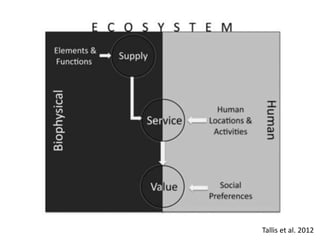 Institutions for Ecosystem Services