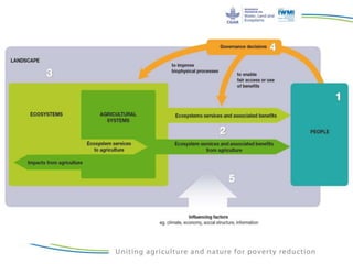 Institutions for Ecosystem Services