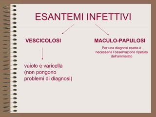 ESANTEMI INFETTIVI VESCICOLOSI MACULO-PAPULOSI Per una diagnosi esatta è necessaria l’osservazione ripetuta dell’ammalato vaiolo e varicella (non pongono  problemi di diagnosi) 